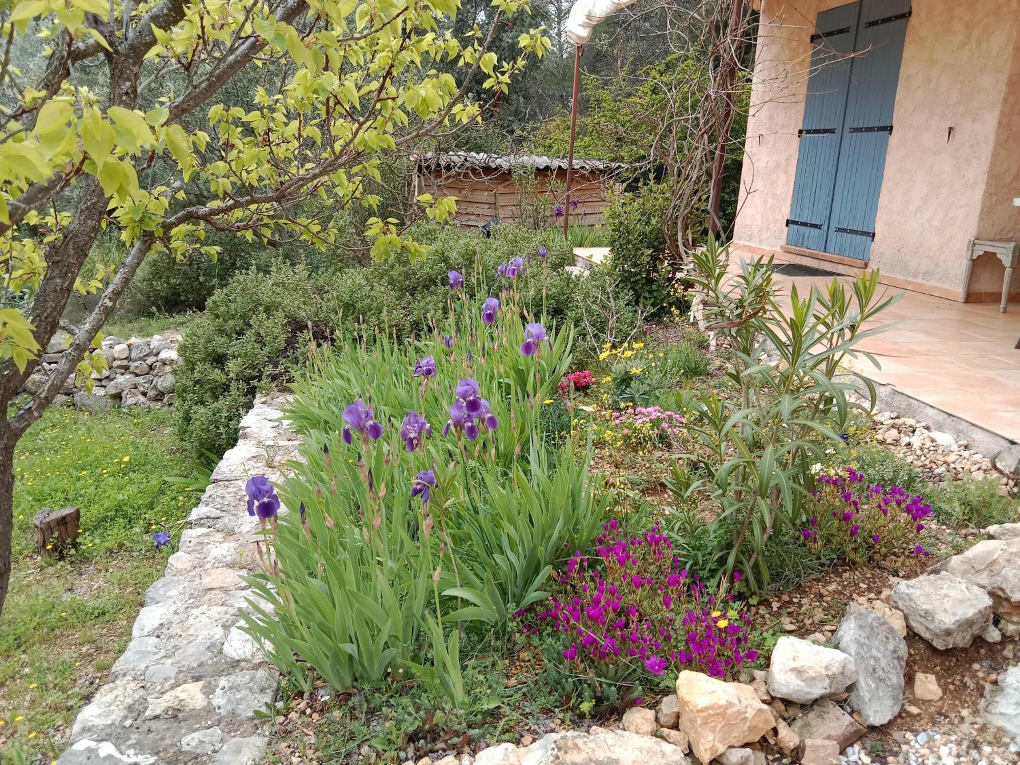 La Farigoulette Bed and Breakfast Lorgues Exteriör bild